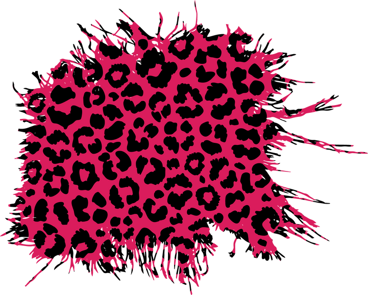 Distressed Leopard Print Patch
